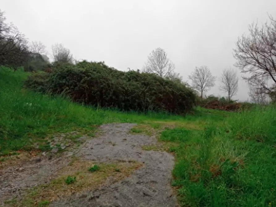 Immagine 1 di Terreno agricolo in vendita  in Via Detesalvo Lupi a Ponteranica