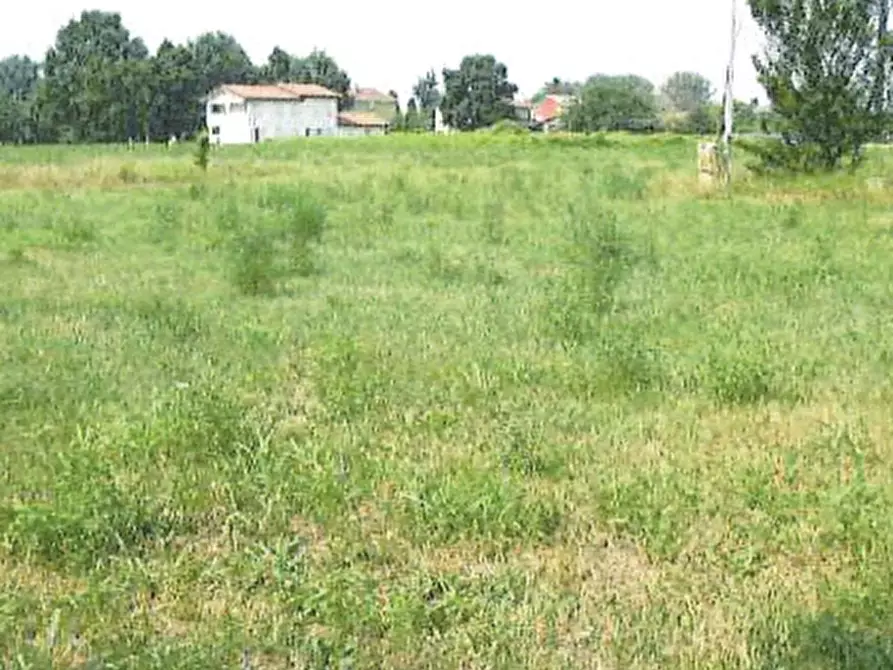 Immagine 1 di Terreno agricolo in vendita  in Via Statale a Medolla