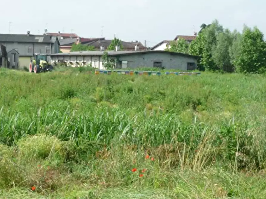 Immagine 1 di Terreno agricolo in vendita  in località Ludriano a Roccafranca