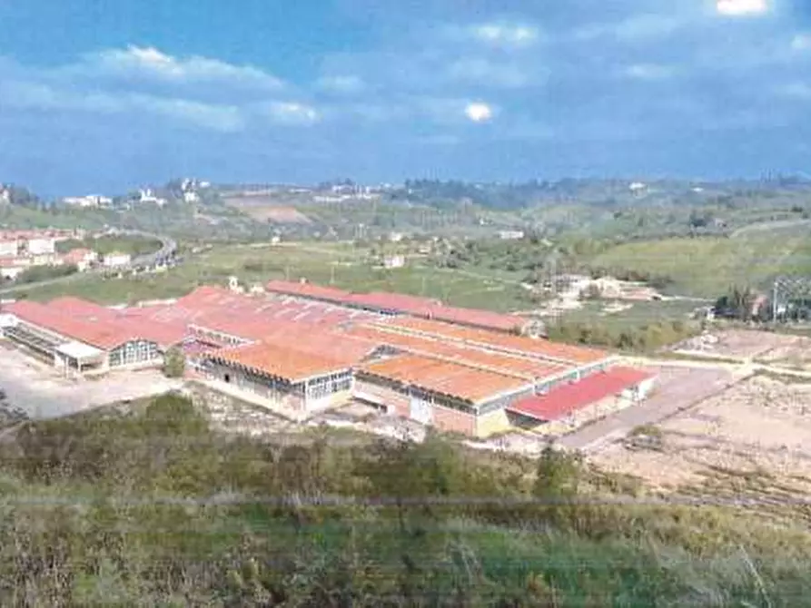 Immagine 1 di Terreno agricolo in vendita  in  valletta di Rio Vallone a Castelfiorentino