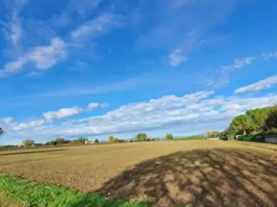 Immagine 1 di Terreno agricolo in vendita  in Via Isonzo a Cormons