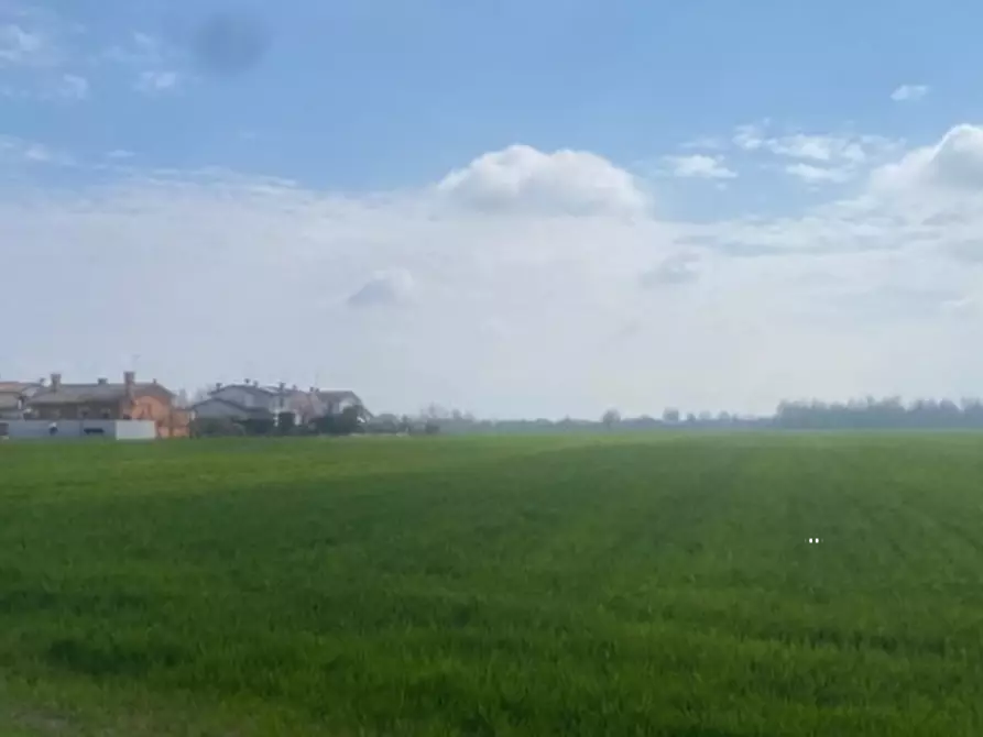 Immagine 1 di Terreno agricolo in vendita  in Via Primo Maggio a Quarto D'altino