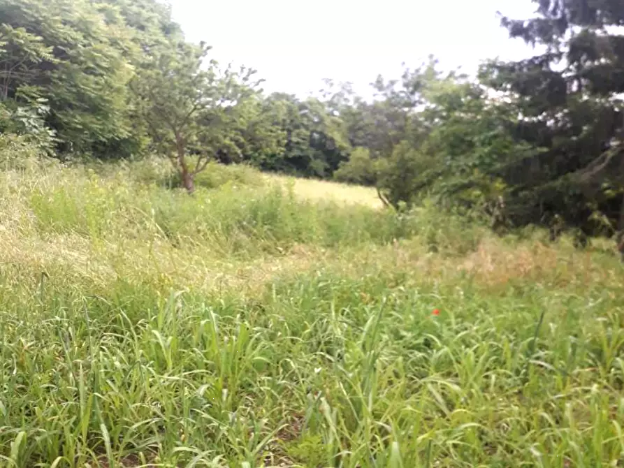 Immagine 1 di Terreno agricolo in vendita  in Via Roberto Ardigò a Brescia