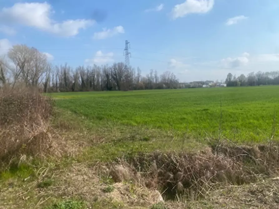 Immagine 1 di Terreno agricolo in vendita  in Via S. Michele Vecchio a Quarto D'altino