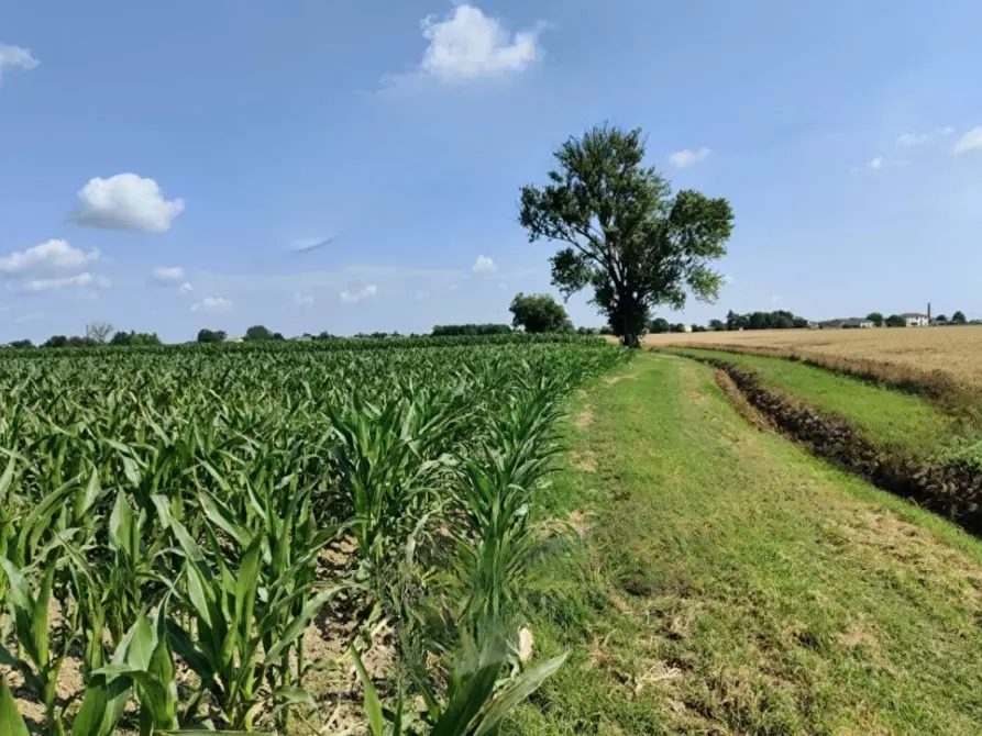 Immagine 1 di Terreno agricolo in vendita  in Strada Provinciale  a Ferrara