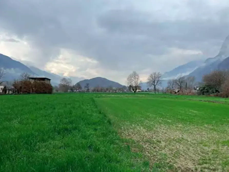 Immagine 1 di Terreno agricolo in vendita  in Località Saletti a Piancogno