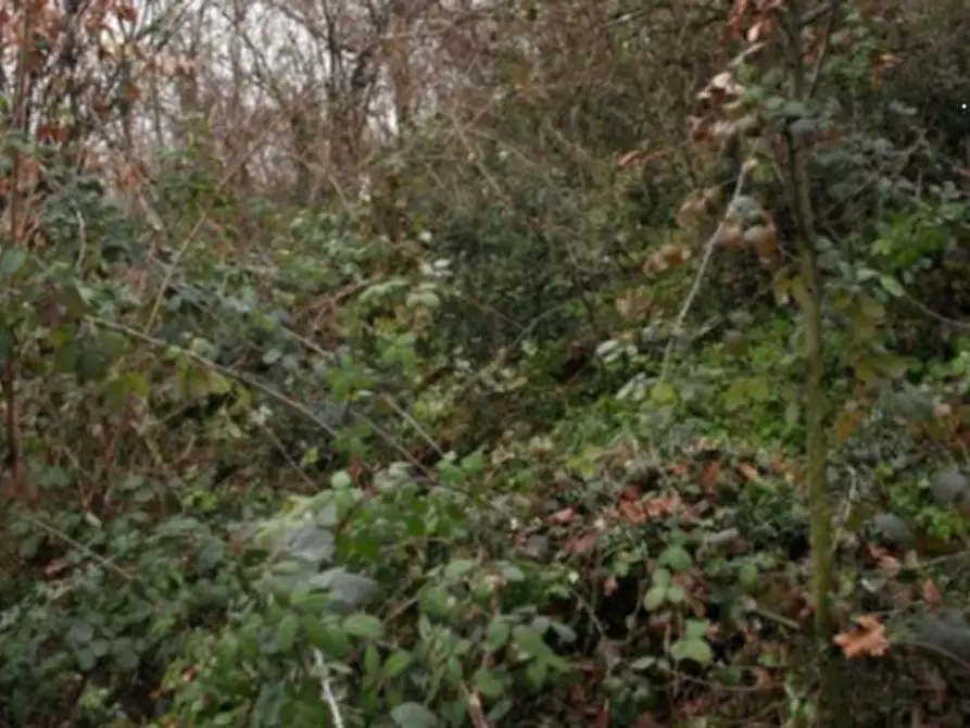 Immagine 1 di Terreno agricolo in vendita  in Località Poscante a Zogno