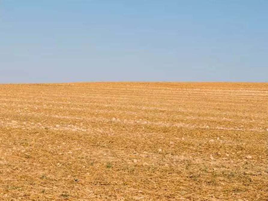 Immagine 1 di Terreno agricolo in vendita  in via Bolagnos a Caravaggio