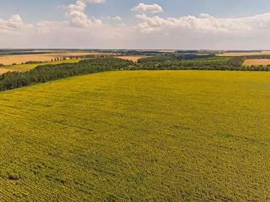 Immagine 1 di Terreno agricolo in vendita  in Via Bolagnos a Caravaggio