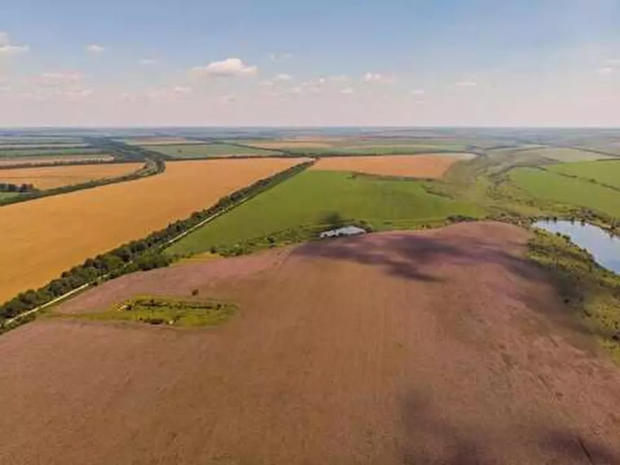 Immagine 1 di Terreno agricolo in vendita  in Località Oleggio  a Oleggio