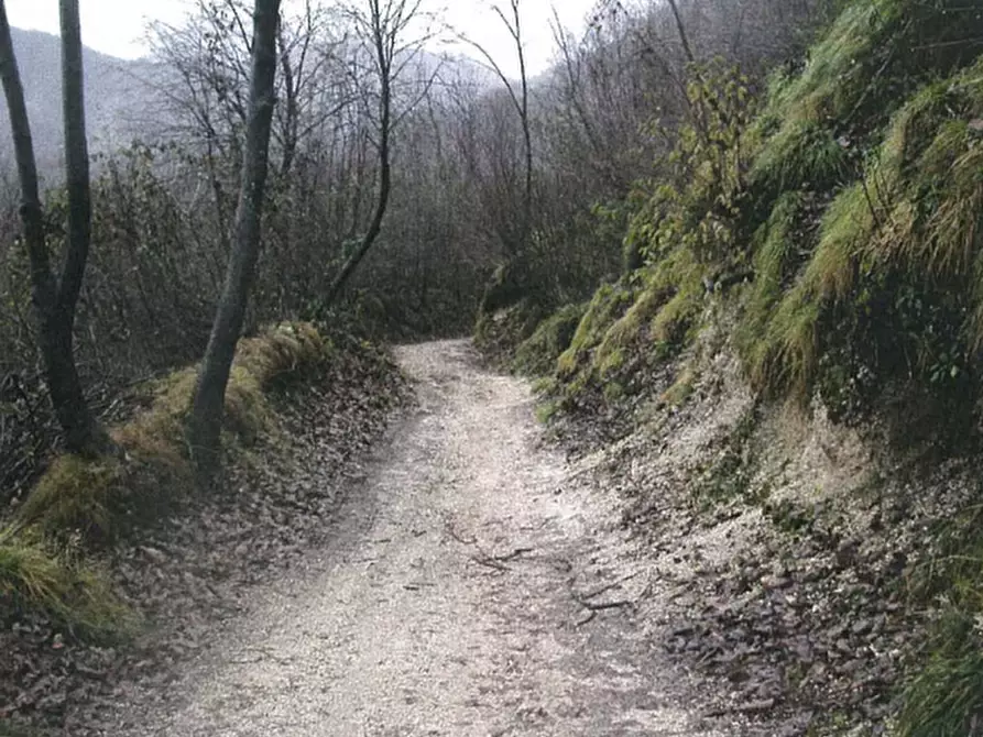 Immagine 1 di Terreno agricolo in vendita  in località Sabbio Chiese a Sabbio Chiese