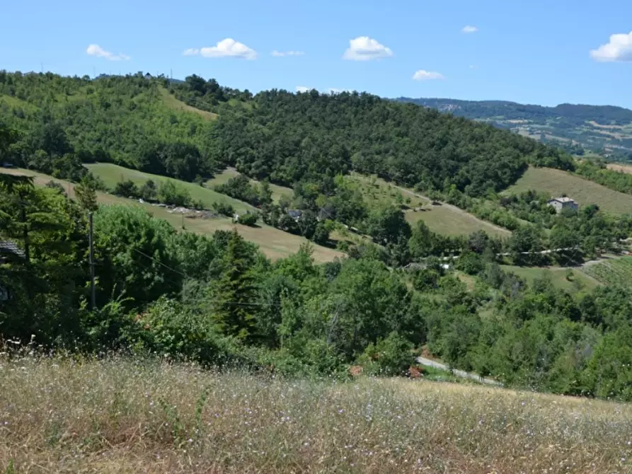 Immagine 1 di Terreno agricolo in vendita  in Via Vallefredda a Serramazzoni