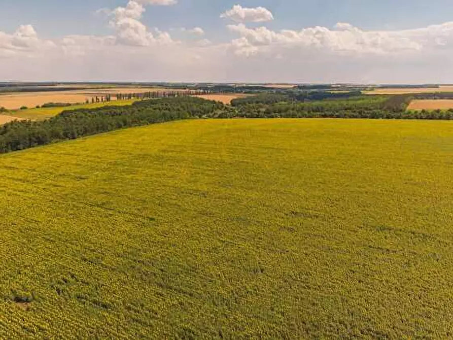 Immagine 1 di Terreno agricolo in vendita  in Via Provinciale a Briona