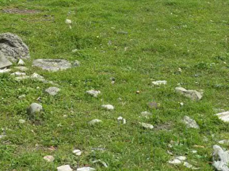 Immagine 1 di Terreno agricolo in vendita  in Via Regione Lombardia a Pedrengo