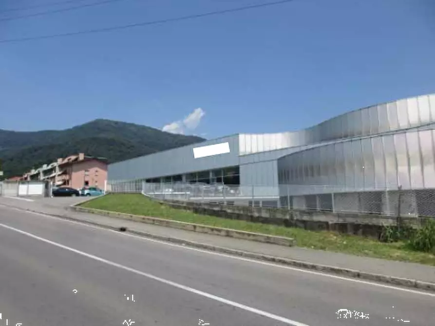 Immagine 1 di Capannone industriale in vendita  in Via Missionario Pietro Noris a Alzano Lombardo