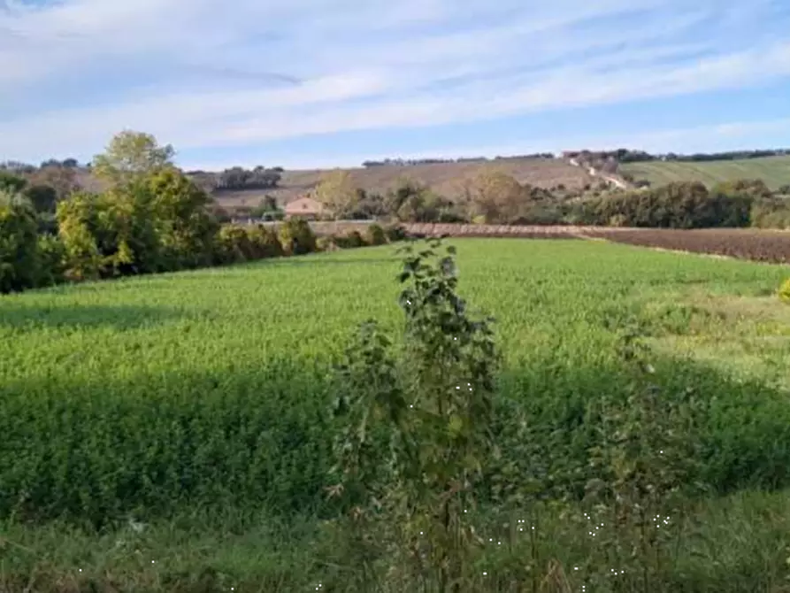 Immagine 1 di Terreno edificabile in vendita  in Via Ugo Betti a Mondolfo