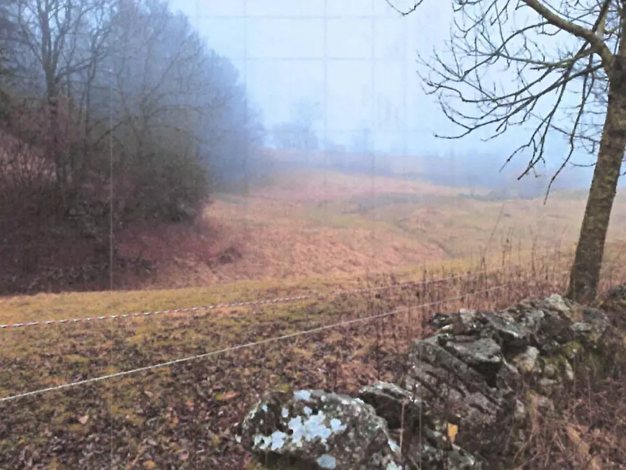 Immagine 1 di Terreno agricolo in vendita  in contrada Tecchie a Velo Veronese