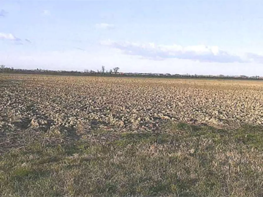 Immagine 1 di Terreno agricolo in vendita  in Via Selva  a Crespino