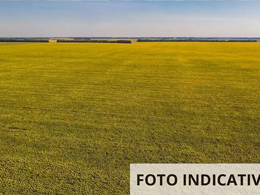 Immagine 1 di Terreno agricolo in vendita  in Via Santellone a Montichiari