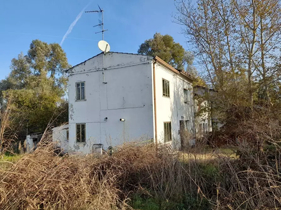 Immagine 1 di Casa indipendente in vendita  in Via Arginelli a Canaro