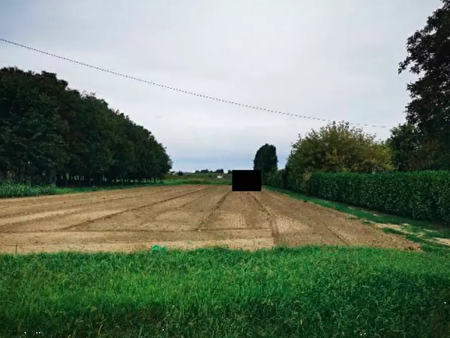 Immagine 1 di Terreno agricolo in vendita  in Via Crosara a Lendinara