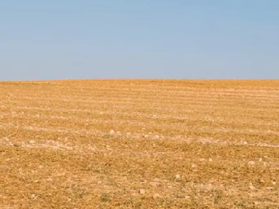 Immagine 1 di Terreno edificabile in vendita  in località Buso a Rovigo