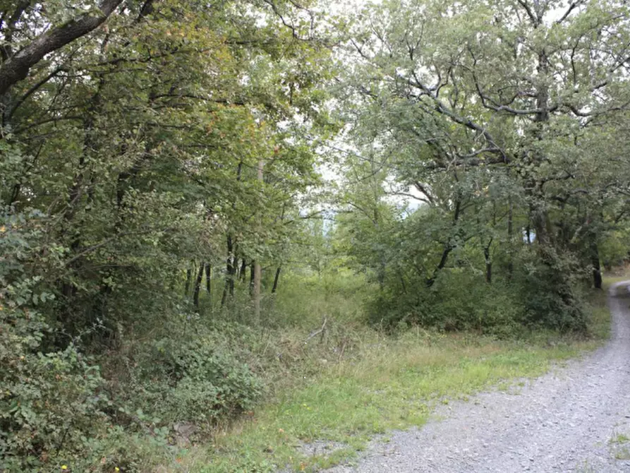 Immagine 1 di Terreno agricolo in vendita  in Località Pallereto a Barberino Di Mugello