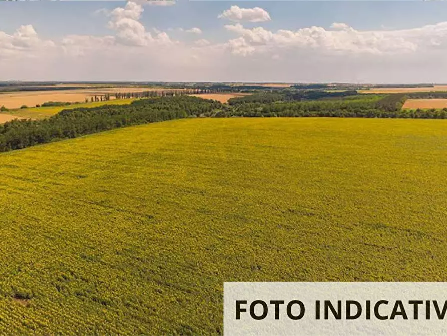 Immagine 1 di Terreno edificabile in vendita  in  via Chiavica Romea a Ravenna