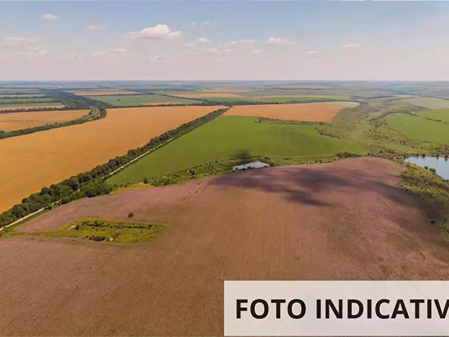 Immagine 1 di Terreno agricolo in vendita  in Via Spina a Comacchio