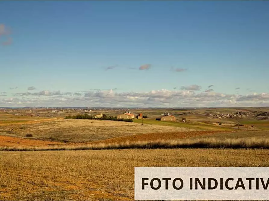 Immagine 1 di Terreno edificabile in vendita  in Via Nenni a Fratta Polesine