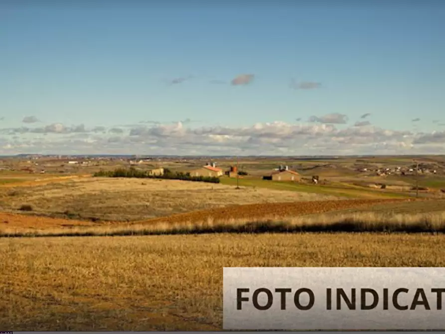 Immagine 1 di Terreno agricolo in vendita  in Strada consorziale a Nibionno