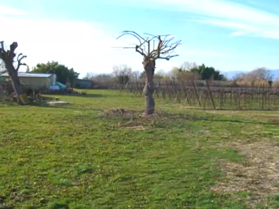 Immagine 1 di Terreno agricolo in vendita  in Via Sali a Fontanelle