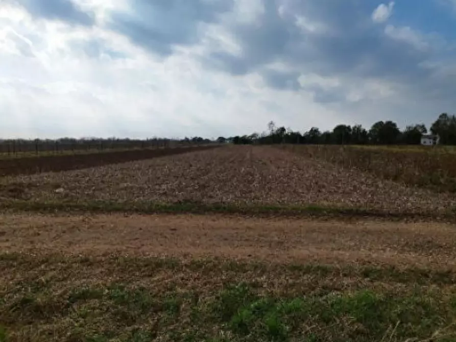 Immagine 1 di Terreno agricolo in vendita  in Via Nespoledo  a Bertiolo