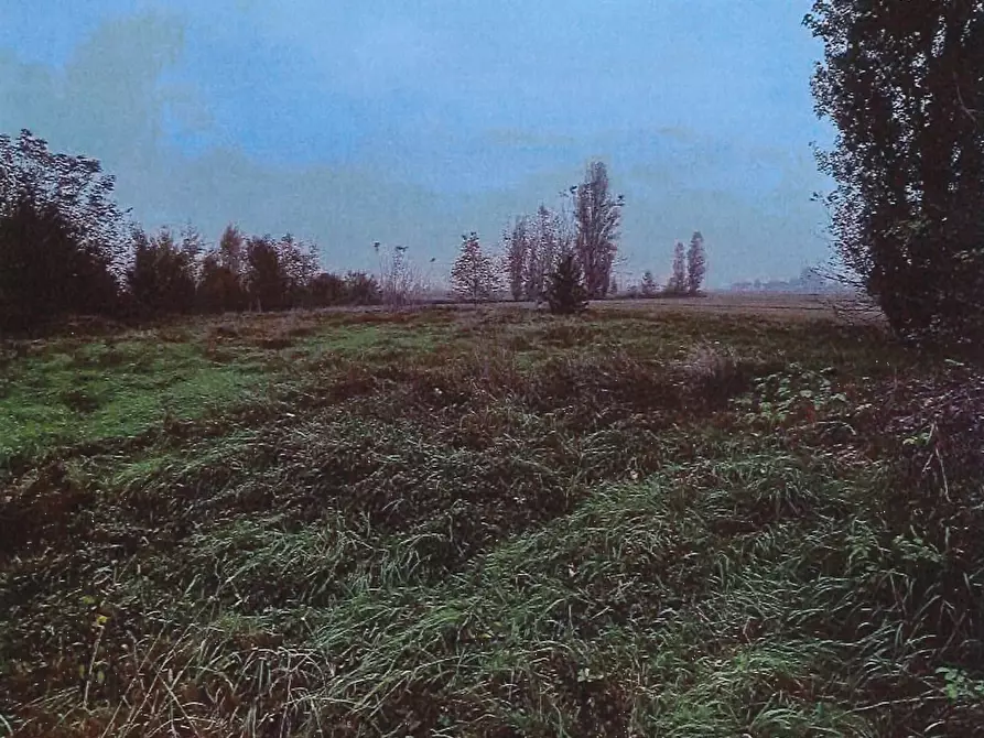 Immagine 1 di Terreno agricolo in vendita  in Via Penavara  a Ferrara