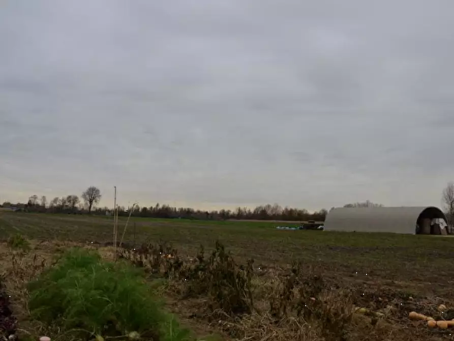 Immagine 1 di Terreno agricolo in vendita  in Via Pelosa a Borgoricco