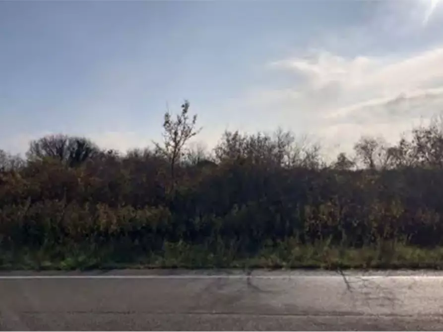 Immagine 1 di Terreno agricolo in vendita  in Via Brava a San Giovanni Al Natisone