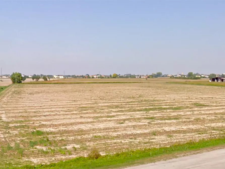 Immagine 1 di Terreno agricolo in vendita  in Via Valmolin Superiore a Arqua' Polesine