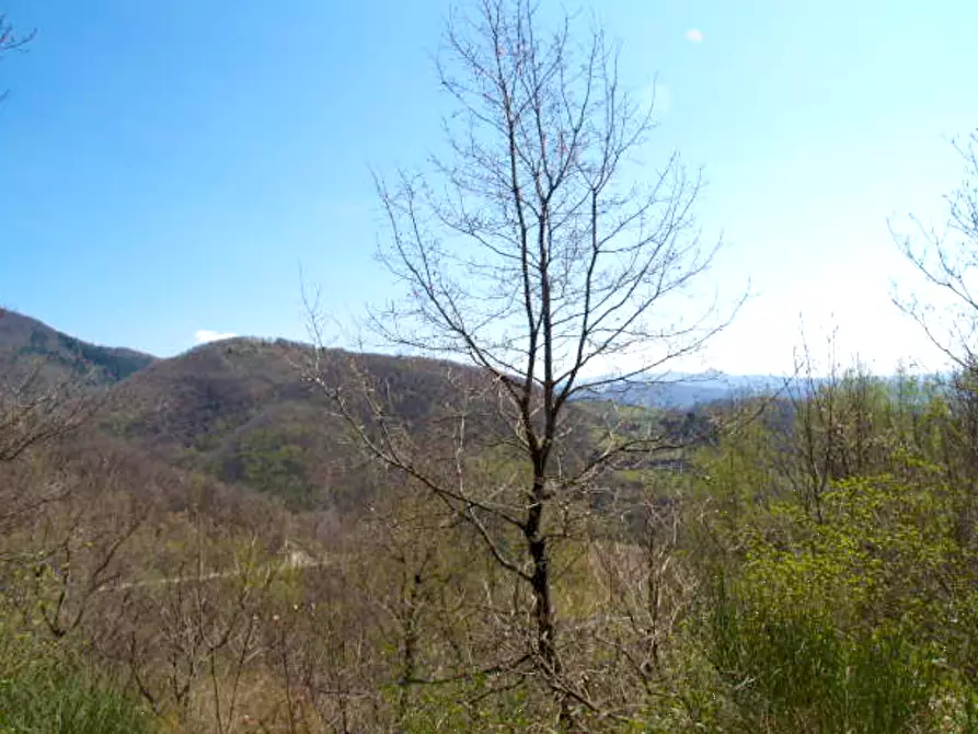 Immagine 1 di Terreno agricolo in vendita  in Località di Montolano a Vicchio