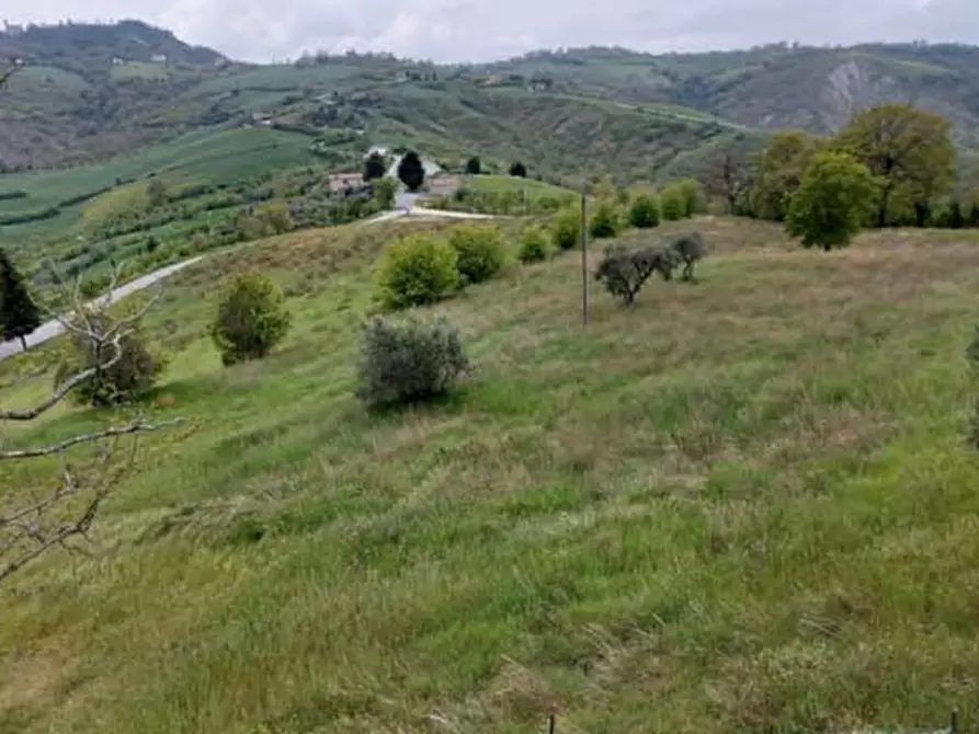 Immagine 1 di Terreno agricolo in vendita  in Via Gorolo a Borghi