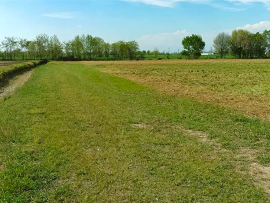 Immagine 1 di Terreno agricolo in vendita  in Via Offlaga a Bagnolo Mella