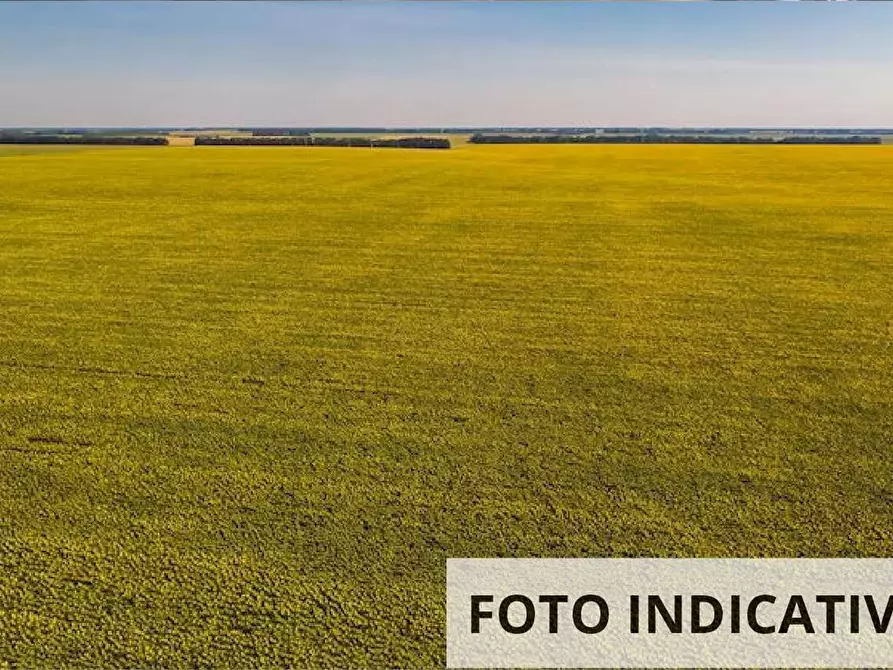 Immagine 1 di Terreno agricolo in vendita  in Via della Giara a Sorgà