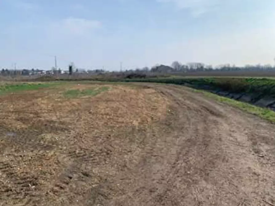 Immagine 1 di Terreno agricolo in vendita  in Via della Giara a Sorgà