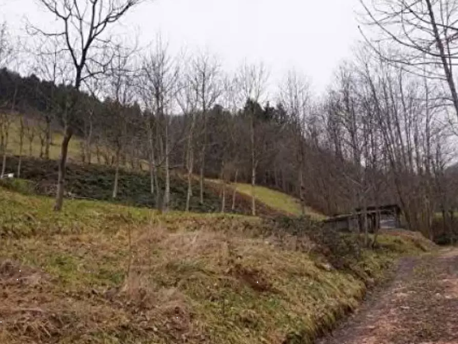 Immagine 1 di Terreno agricolo in vendita  in Via Gisbenti a Valli Del Pasubio