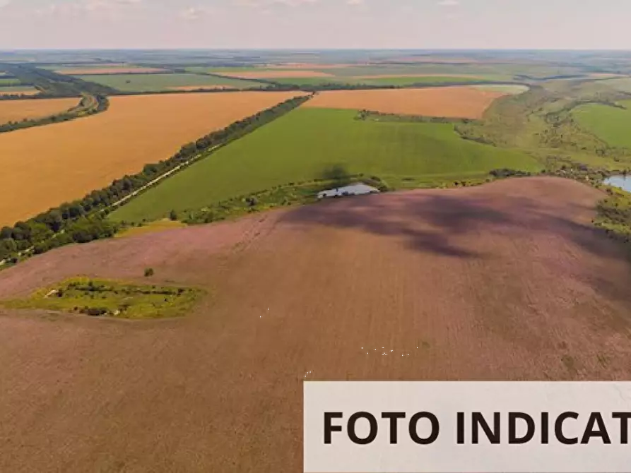 Immagine 1 di Terreno edificabile in vendita  in Via Smania a Fiesso D'artico