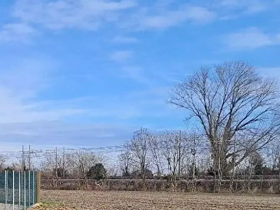 Immagine 1 di Terreno agricolo in vendita  in Località Spresiano a Spresiano