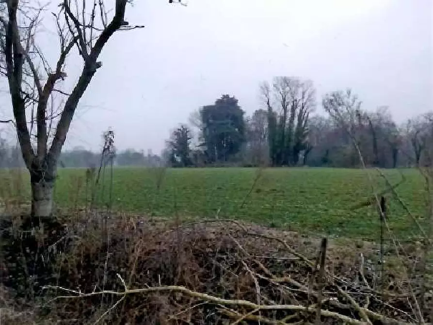 Immagine 1 di Terreno agricolo in vendita  in Via San Rocco a Cittadella