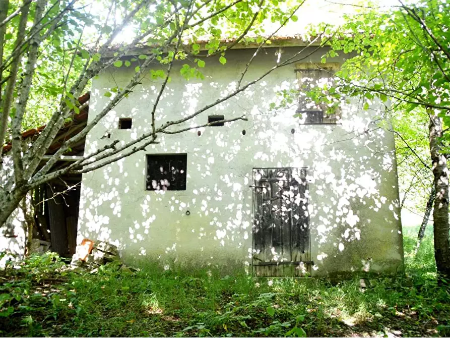 Immagine 4 di Rustico / casale in vendita  in Località Facchin a Alpago