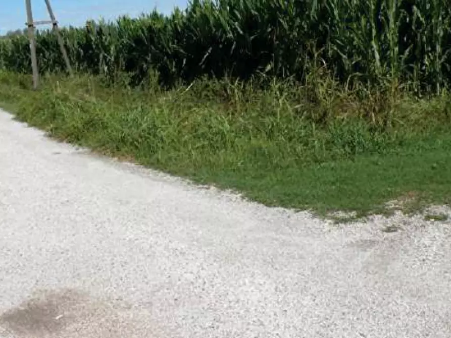 Immagine 1 di Terreno edificabile in vendita  in Località San Michele al Tagliamento a San Michele Al Tagliamento