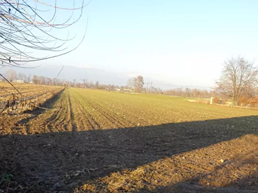 Immagine 1 di Terreno agricolo in vendita  in località Loria a Loria