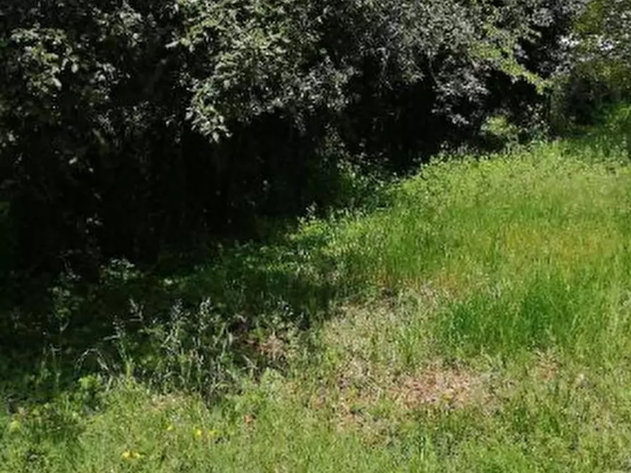 Immagine 1 di Terreno agricolo in vendita  in Via Terraglio  a Treviso